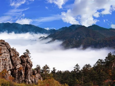 武汉神农架：秘境之旅，云海奇观，草原牧歌，探寻世外桃源